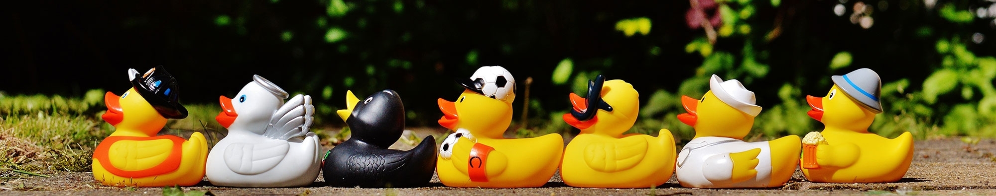 banner